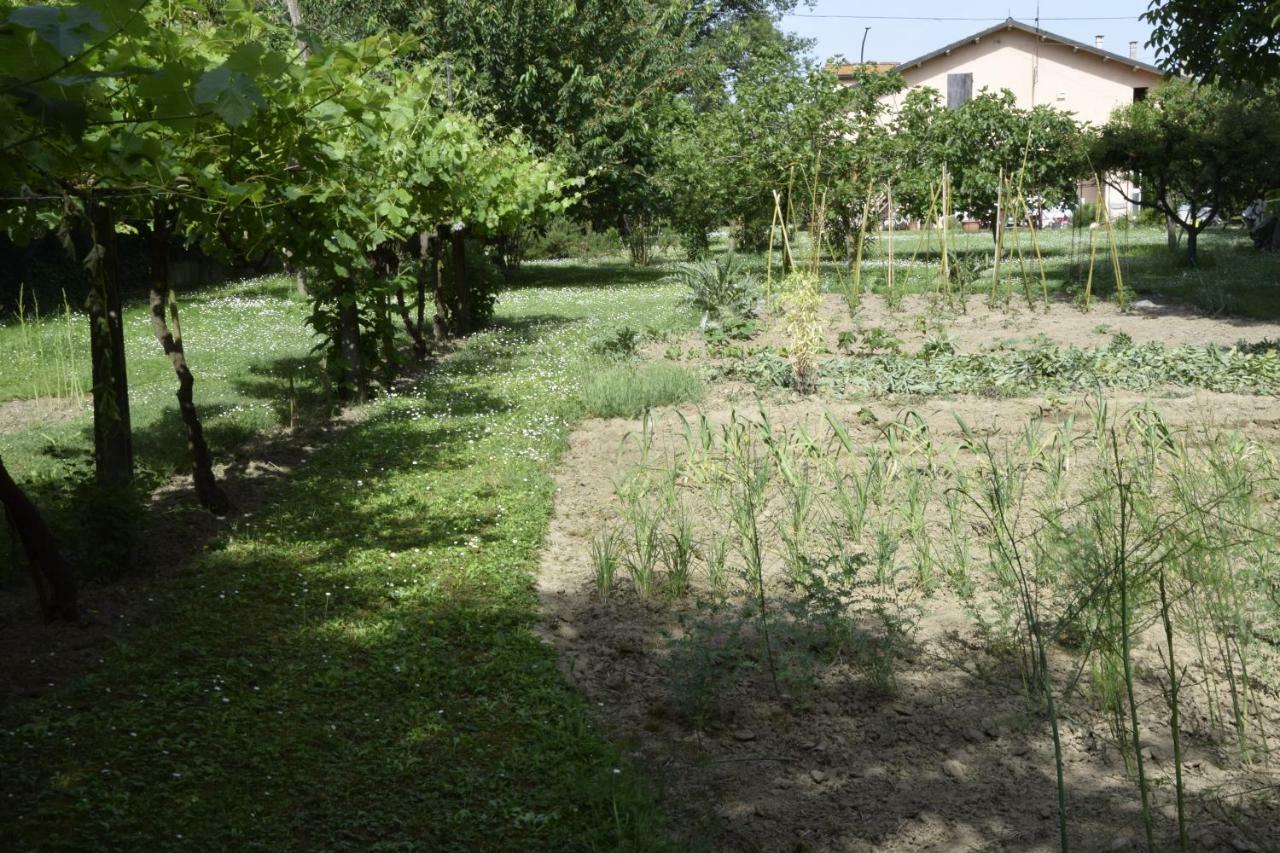 Capannone111 Bed and Breakfast Castiglione di Ravenna Exteriör bild